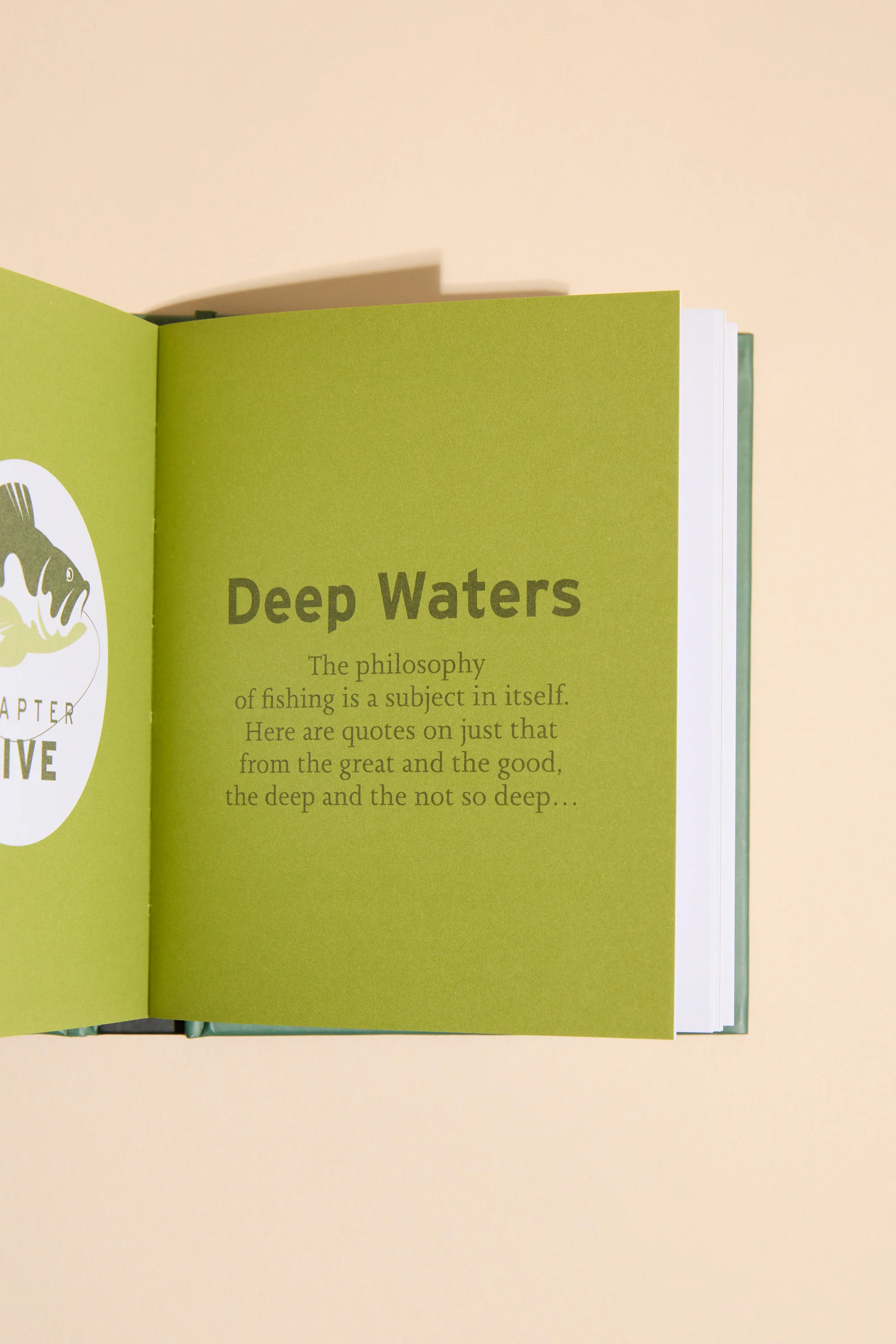 The Little Book of Fishing - Image 5